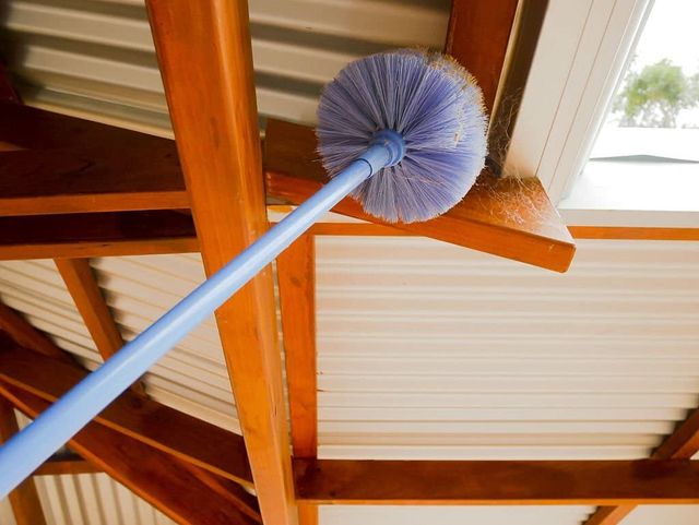 Ceiling Jaala/ Cobweb Cleaning Broom With Long Extendable Telescopic Handle/Rod, Round shaped, Assorded Color, Diamond / Gobi Jaala, 57 Inch Length