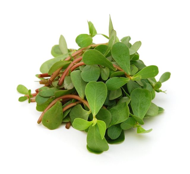 Pursulane / Kulfa / Gangavail Leaves