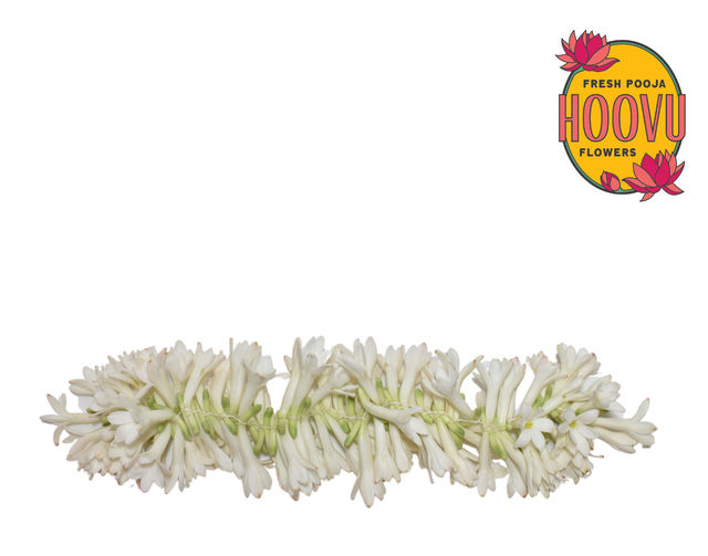 Hoovu Fresh Rajnigandha Flower String / Gajra