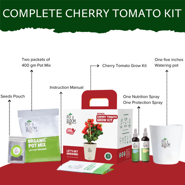 Pot And Bloom Cherry Tomato Kit 