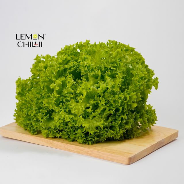 Lemonchillii Farms Hydroponic Green Lettuce