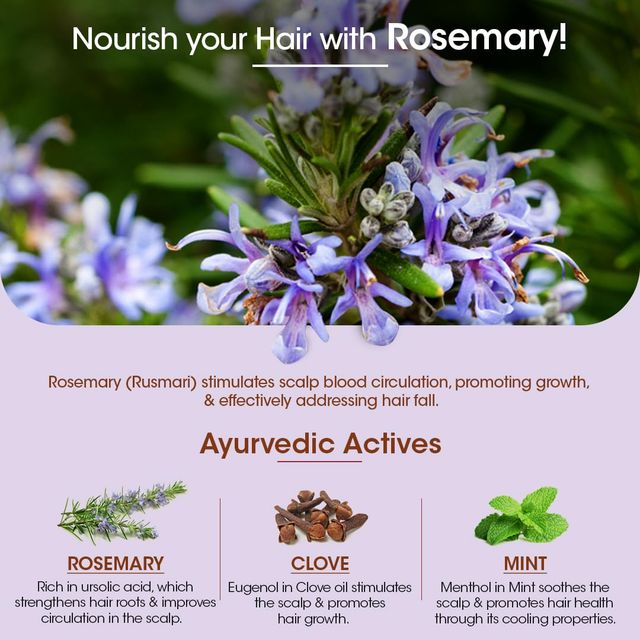 Tac Rosemary Anti-Hair Fall Conditioner With Mint & Clove Oil Combats Hair Fall