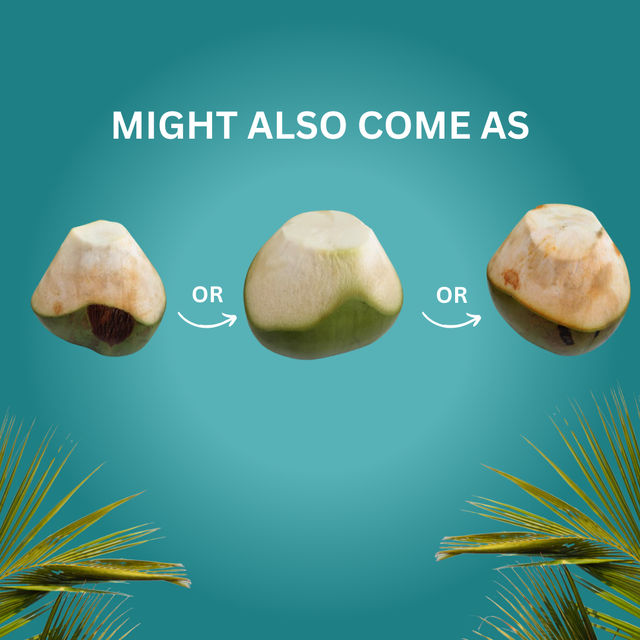 Tender Coconut Lite