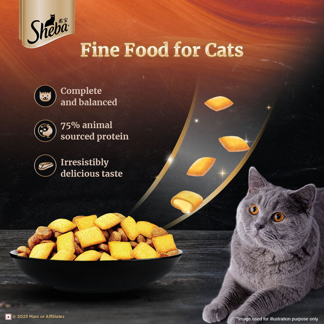 Sheba Kitten and Adult Chicken Flavour Dry Cat Food