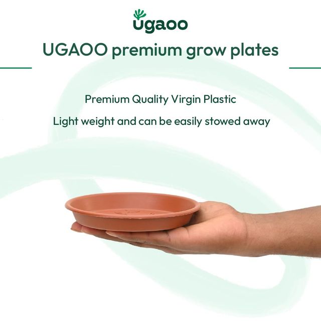Ugaoo UV Treated Gardening Plastic Tray Plate | Saucer for Pots - 6 in | Brown | Set of 6