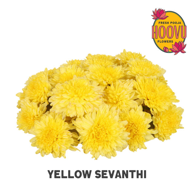 Hoovu Fresh Yellow Chrysanthemum