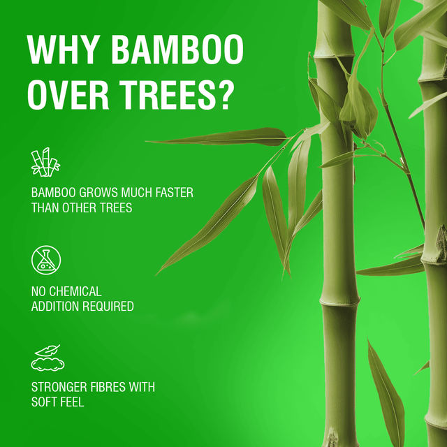 Beco Toilet Tissue Paper Roll - 3 ply - Ecofriendly