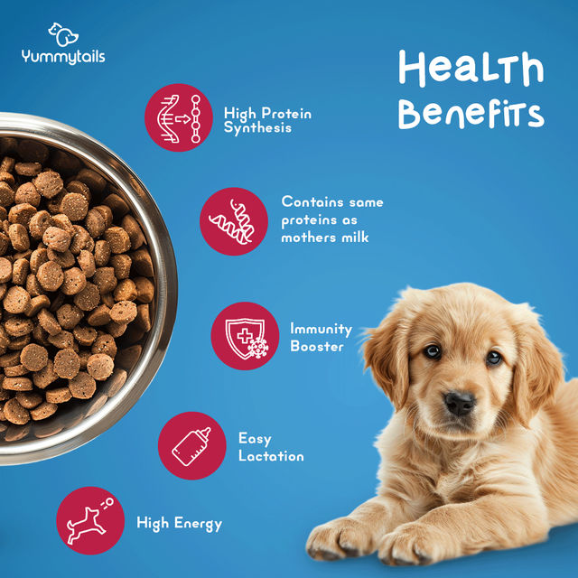 Yummytails Puppy Dog Food | 80% Chicken and Fish Protein 500 g X 3 Combo