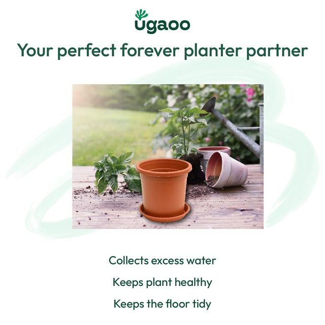 Ugaoo UV Treated Gardening Plastic Tray Plate | Saucer for Pots - 6 in | Brown | Set of 6