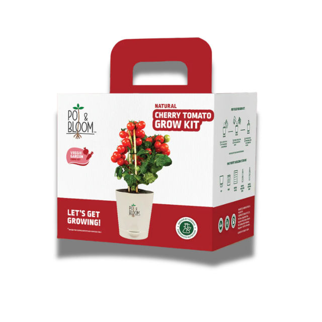 Pot And Bloom Cherry Tomato Kit 