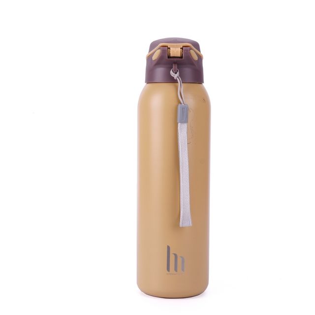 Hoom 304 Stainless Steel Vacuum Insulated Straw Sipper Bottle | 600 ml - Assorted
