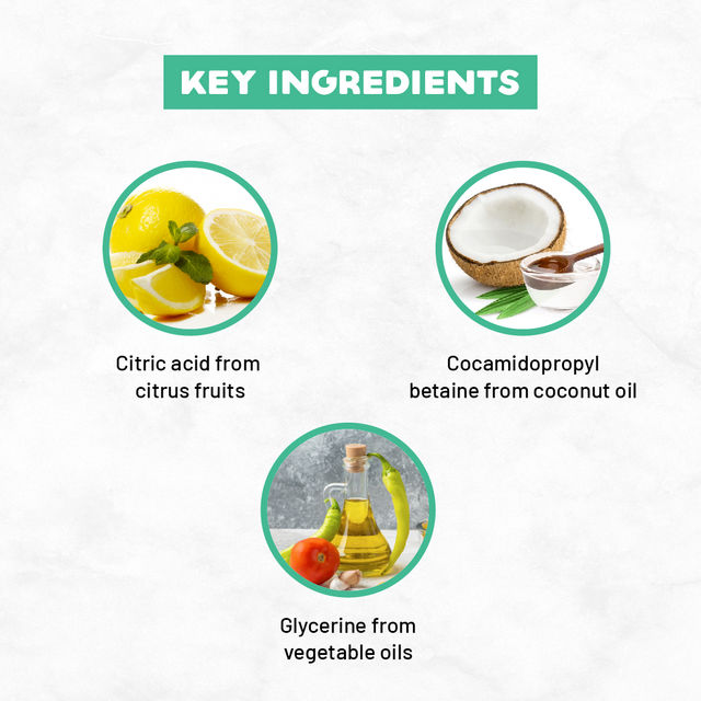 Born Good Dishwash Gel Plant Based Spanish Citrus Fragrance Biodegradable | Non-Toxic And Eco-Friendly 500 ml X 2 Combo