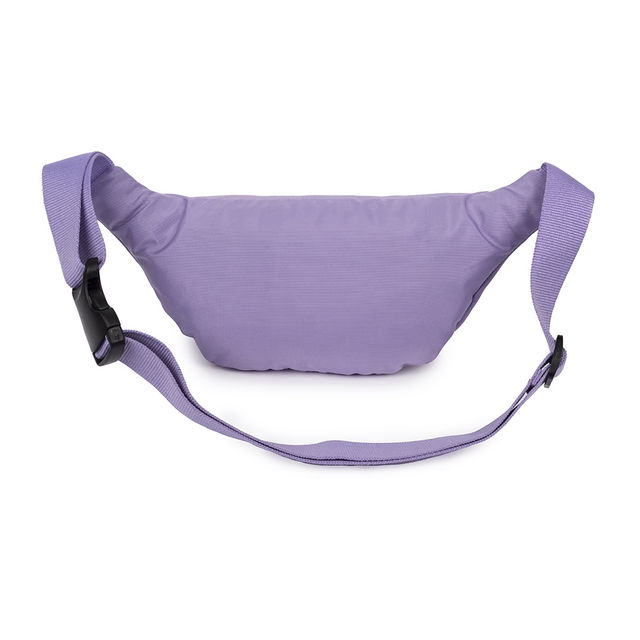 Buy QIPS Unisex Polyester 2 L Waist Bag | Lavender - Free Size