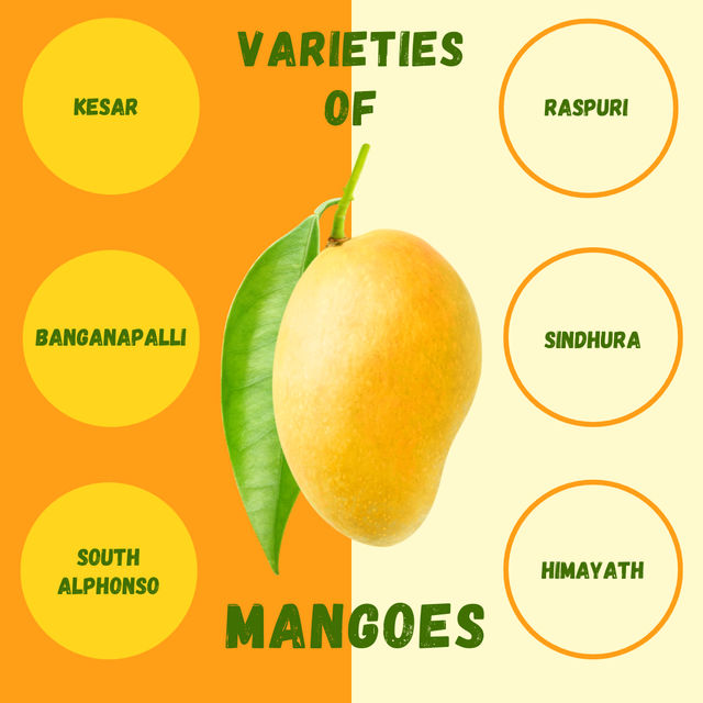 Mango Assorted Trial Box