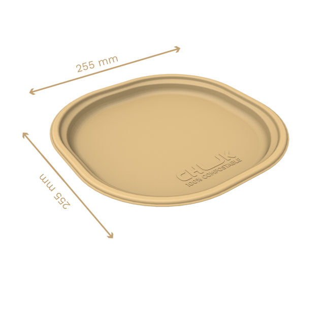 Chuk Eco-friendly Disposable Plate 10 inch