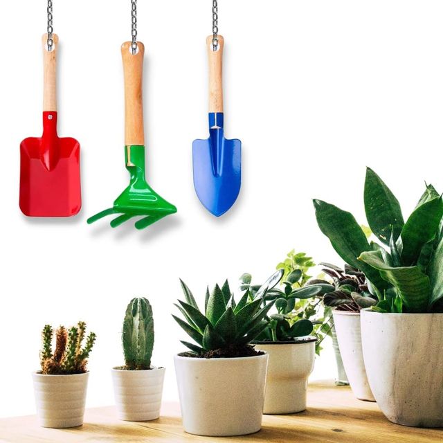 Gardening Tool Set of Weeder, Cuiltivator and Garden Fork- Set of 3