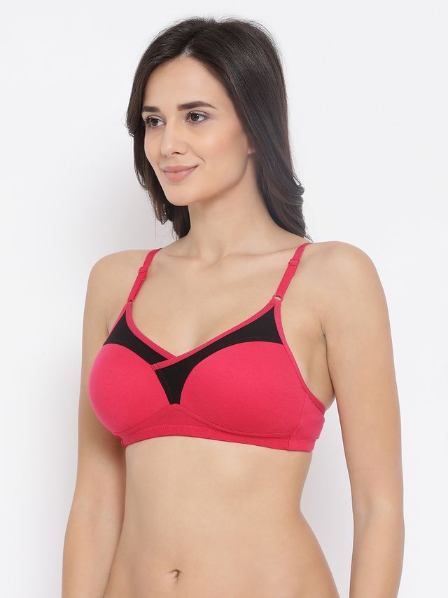Clovia Women Non-Padded Non-Wired Full Coverage T-Shirt Bra - Dark Pink, Bright Blue | 32C