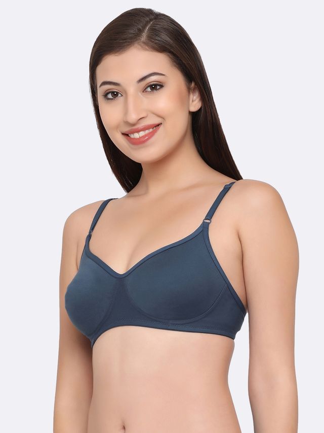 Clovia Women Non-Padded Non-Wired Full Coverage T-Shirt Bra - Blue, Lavender | 34B