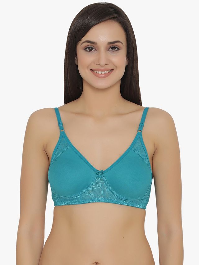 Clovia Women Non-Padded Non-Wired Full Coverage T-Shirt Bra - Dark Pink, Bright Blue | 32C