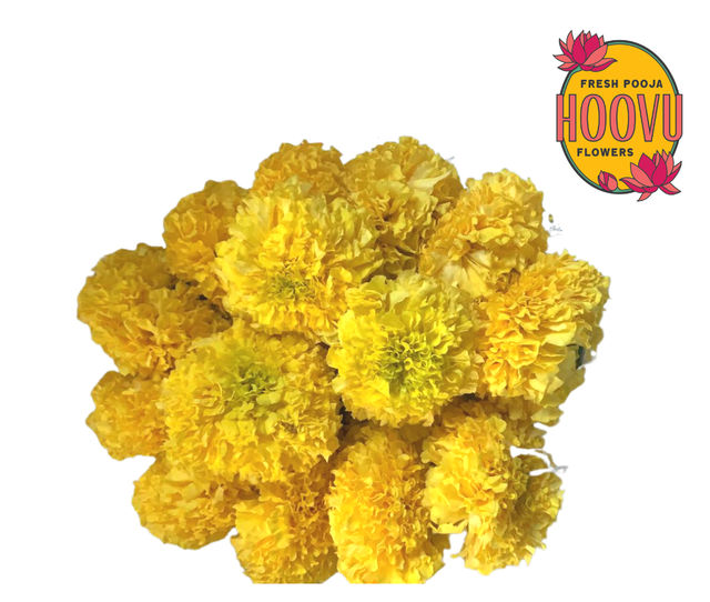 Hoovufresh Marigold Yellow