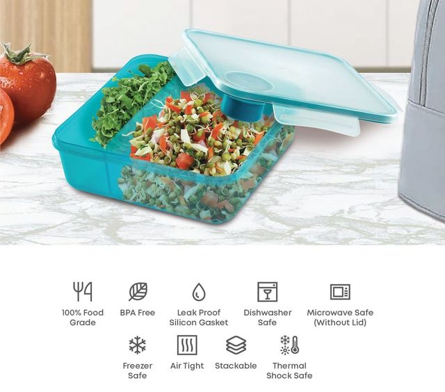 All Time Salad Lunch Box With Dip Container | 1450 ml (Colour May Vary)