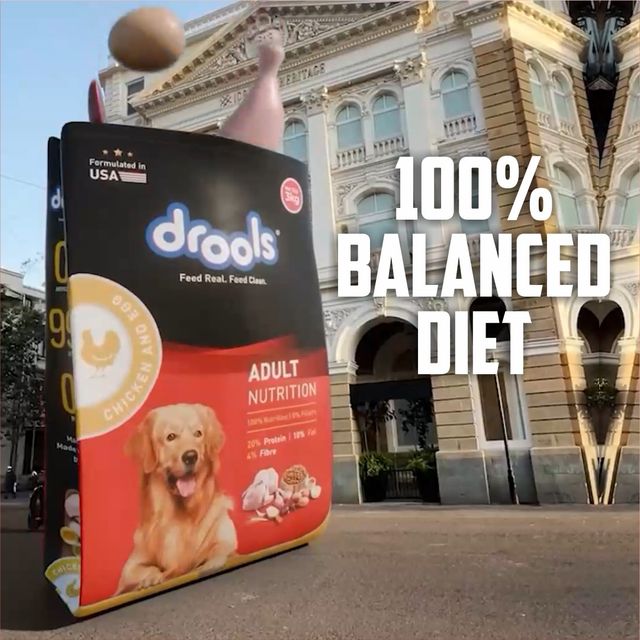 Drools Chicken And Egg Adult Dry Dog Food (3 kg) 