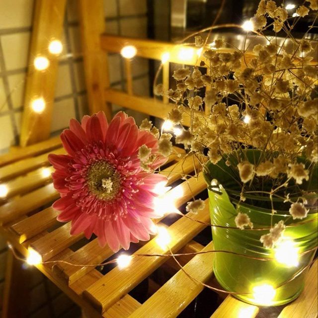 DesiDiya Round LED String Lights - Yellow | Heat Resistant