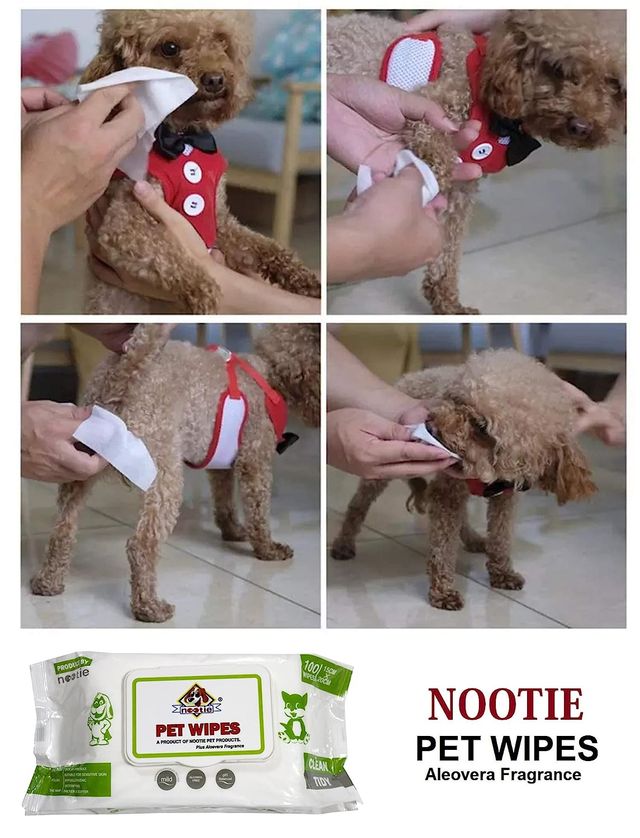 Nootie Pet Wipes For Pets (L) 100Wipes/Pack