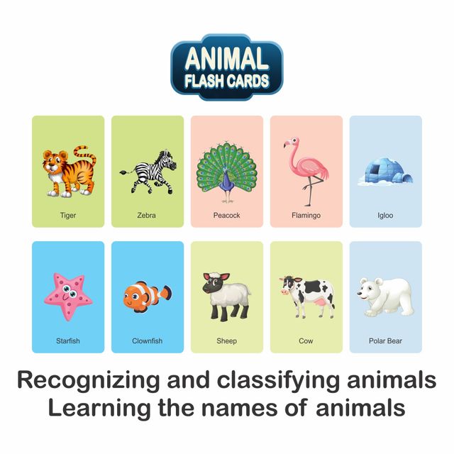 Sterling Animal Flash Card