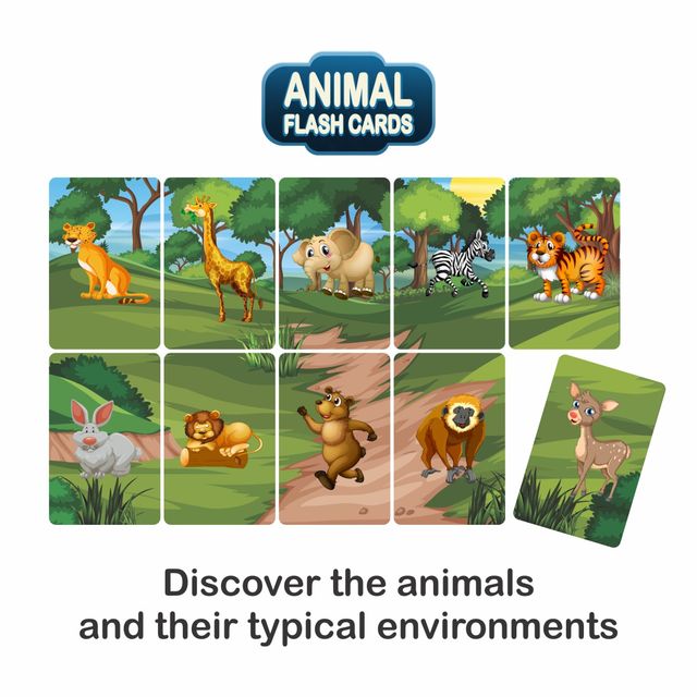 Sterling Animal Flash Card