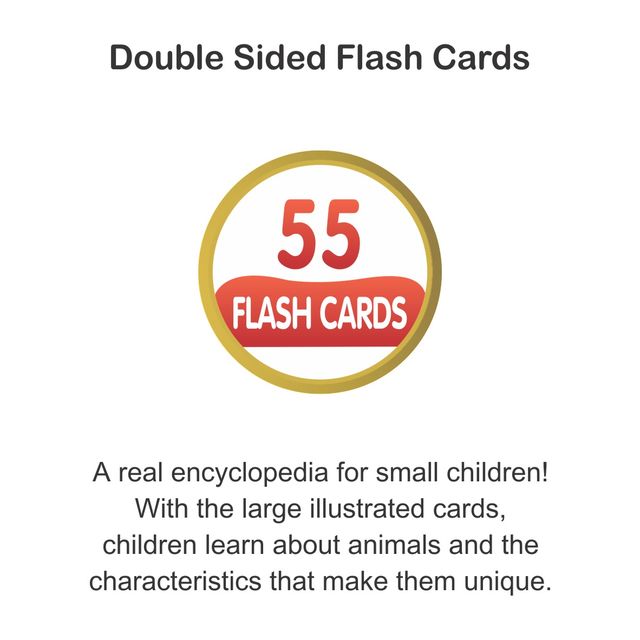 Sterling Animal Flash Card