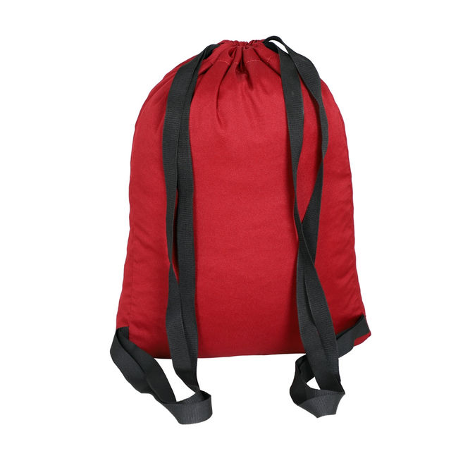 Buy Arctic Fox Unisex Solid Polyester 15 L Backpack | Grape Online