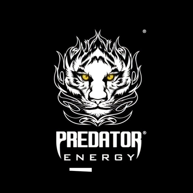 Predator Energy Drink Can 300 ml Combo