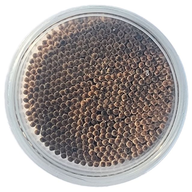 Nutips Premium Wooden Toothpick Jar