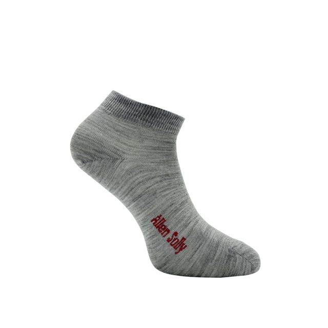 Allen Solly Women's Woolen Ankle Length Plain Socks - Light Grey Melange