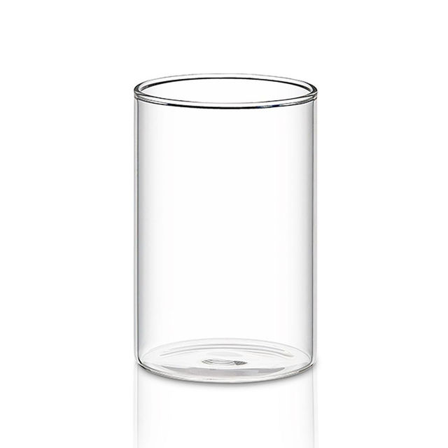 Borosil Vision Transparent Drinking Glass Set (295 ml) Borosilicate Glass Tumblers