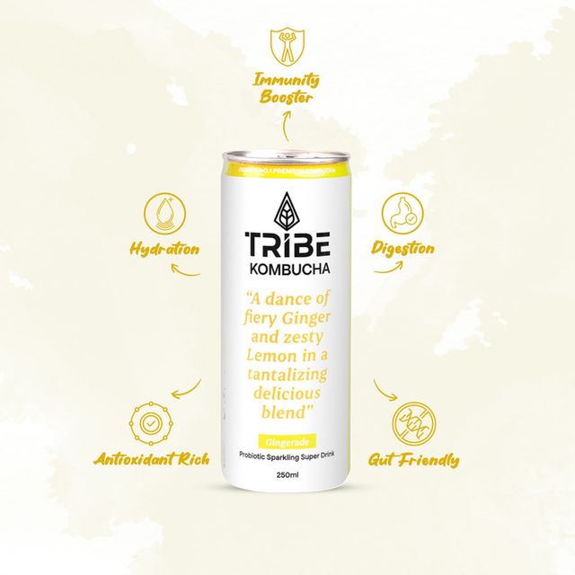 Tribe Naturally Sparkling Probiotic Green Tea With Ginger & Lemon Kombucha
