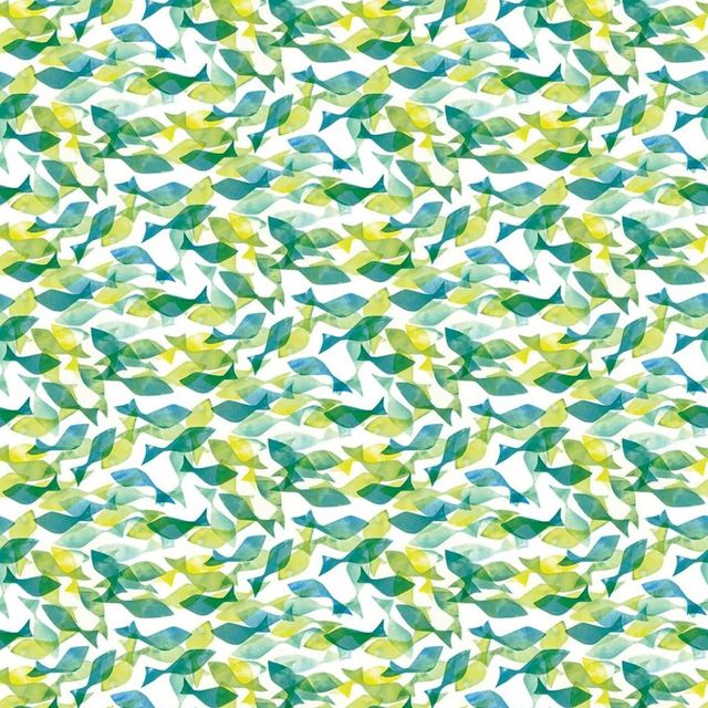 Lushomes Shower Curtain - Multi | Fish Doodle Printed | 12 Eyelets | No Hooks | 6 x 6.5 ft