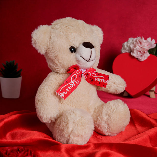 Oye Happy Mr Snuggle Bear