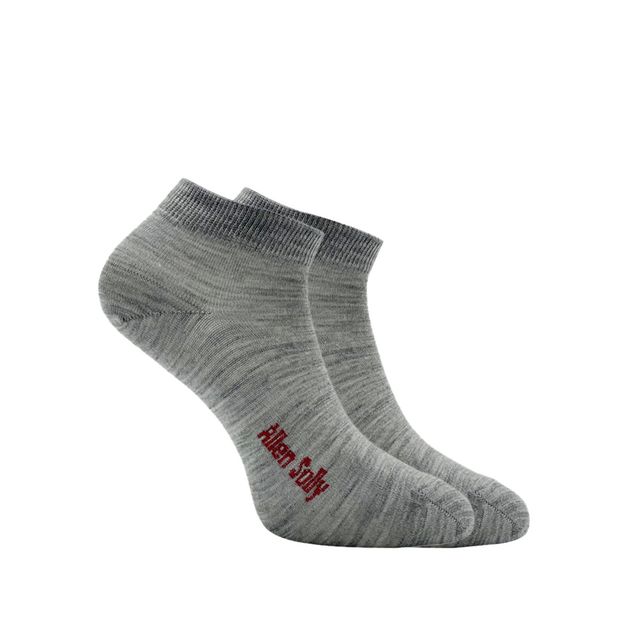 Allen Solly Women's Woolen Ankle Length Plain Socks - Light Grey Melange