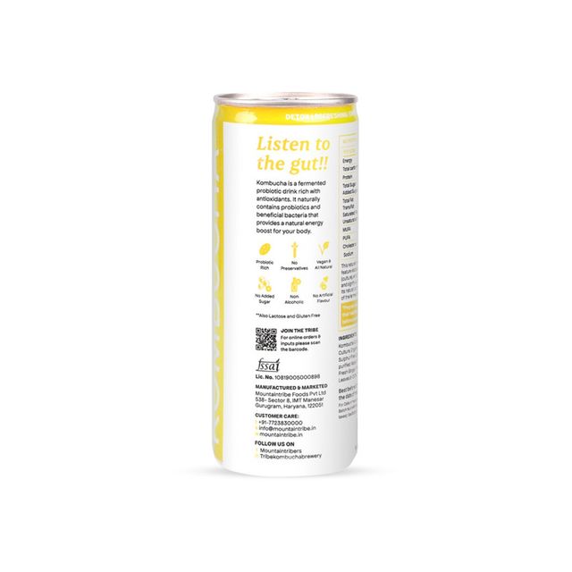 Tribe Naturally Sparkling Probiotic Green Tea With Ginger & Lemon Kombucha