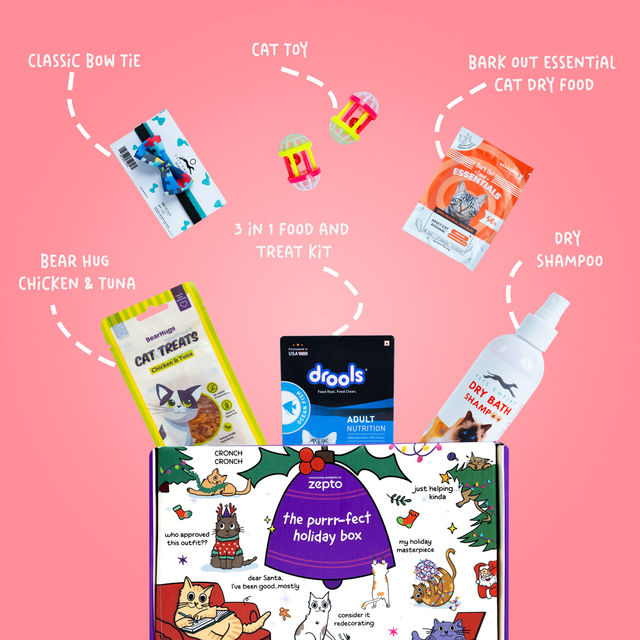 New Year Holiday Gift Box for Cats | Food | Treats | Toys and More