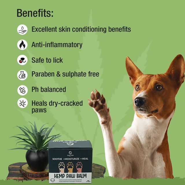 Goofy Tails Hemp Paw Balm Dog