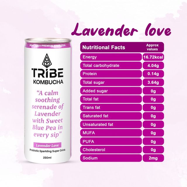 Tribe Kombucha Naturally Sparkling Probiotic Herbal Tea |Green Tea With Blue Pea & Lavender 250 ml X 2 Combo
