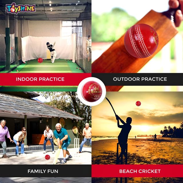 Toyshine A-Grade Leather Cricket Ball, Hand-Stitched 156g Test Match Special for MCC Regulation