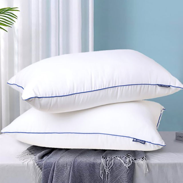 The Sleep Company Pack of 2 Super Soft Microfiber Pillow by TSC