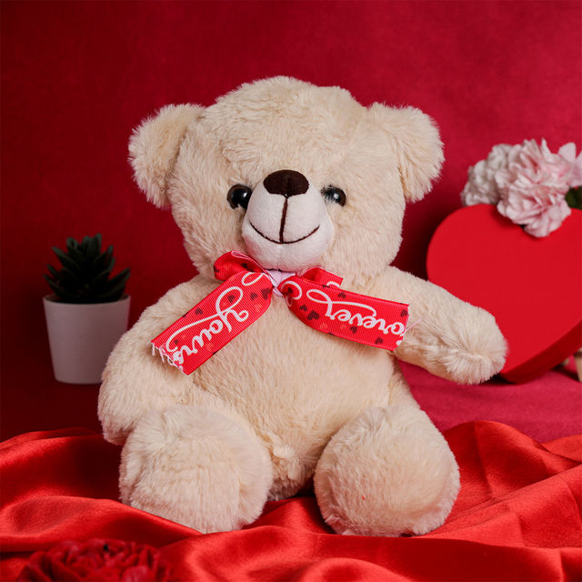 Oye Happy Mr Snuggle Bear