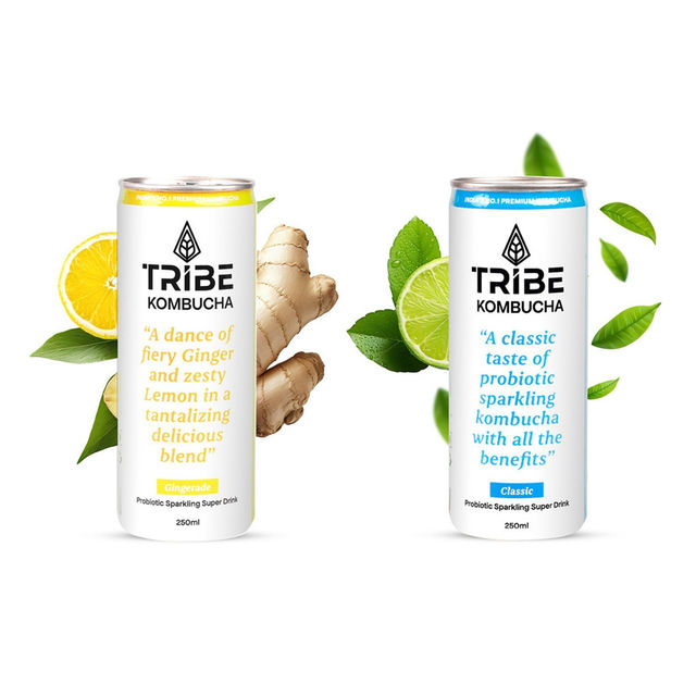 Tribe Naturally Sparkling Probiotic Green Tea With Herbs & Spices Kombucha (250ml) & Tribe Naturally Sparkling Probiotic Green Tea With Ginger & Lemon Kombucha (250ml) Combo