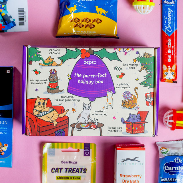 New Year Holiday Gift Box for Cats | Food | Treats | Toys and More