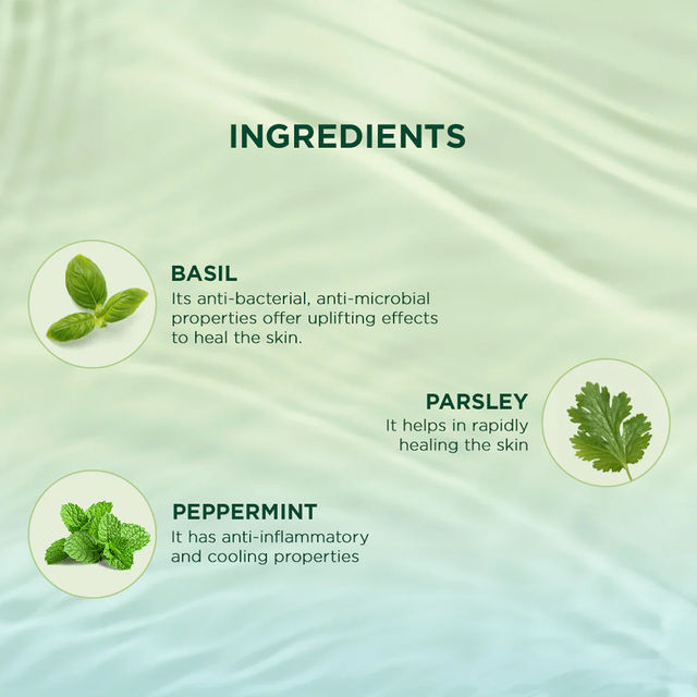 Biotique Basil And Parsley Revitalizing Body Wash